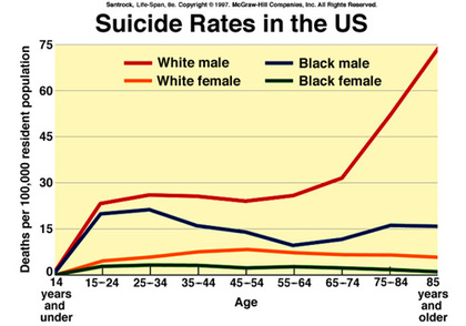 Image result for race gender suicide